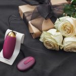 Remote Control Sex Toy