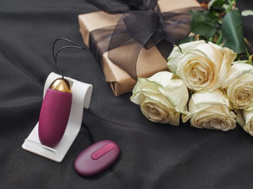 Remote Control Sex Toy