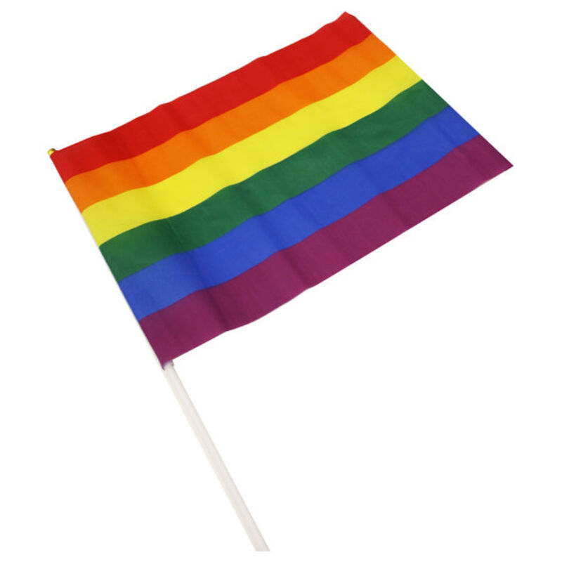 PRIDE – LGBT FLAG LARGE PENNANT