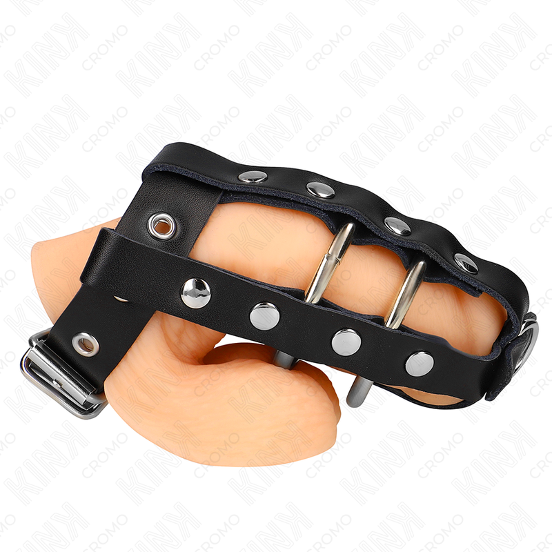 KINK – ADJUSTABLE PENIS CAGE WITH LOCK